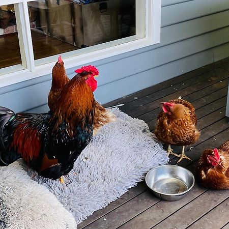 Farm Stay Maple Cottage At Wilindi Estate Tyabb Kültér fotó