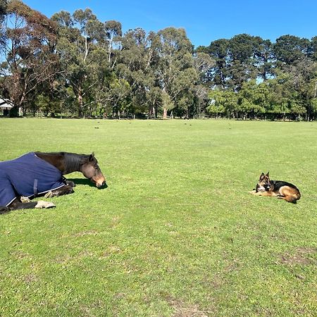 Farm Stay Maple Cottage At Wilindi Estate Tyabb Kültér fotó