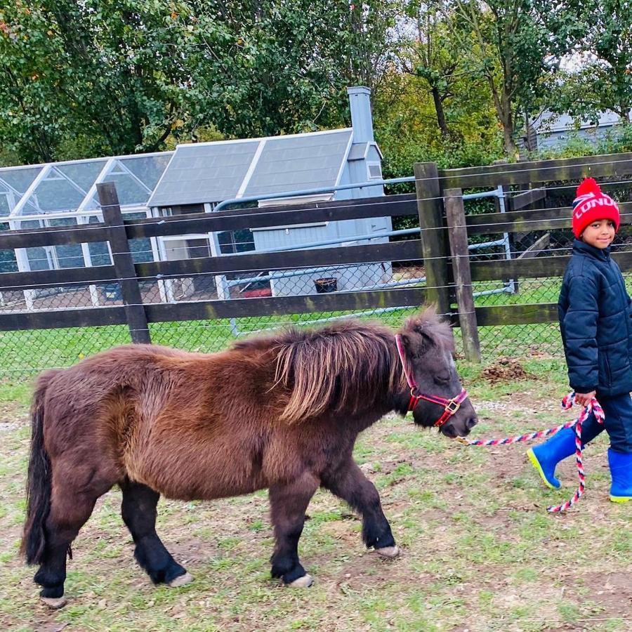 Farm Stay Maple Cottage At Wilindi Estate Tyabb Kültér fotó